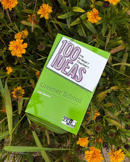Book cover 100 ideas for Greener Schools