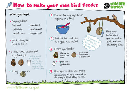 Explanation of how to make your own bird feeder. Text description provided on webpages where this sheet is used