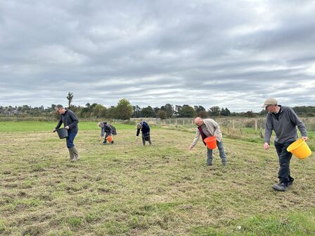 People standing in a line in a field, sowing seeds out of buckets by hand