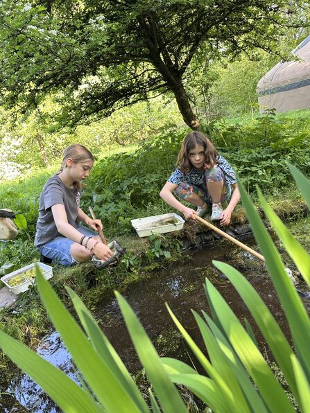 Two children kneel by the side of a pond, with pond dipping nets and trays, to identify the wildlife they find in the pond