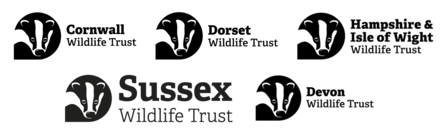 The logos for Cornwall, Dorset, Hampshire & Isle of Wight, Sussex and Dorset Wildlife Trusts