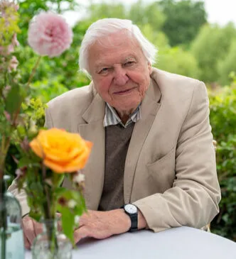 Sir David Attenborough smiling, sitting at a table with a vase of flowers in the foreground