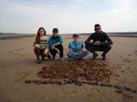 Four people sitting on a beach in front of a large number of shark and ray eggcases