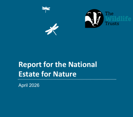 Front cover of National Estate for Nature report