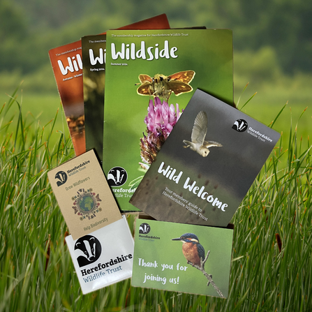 Contents of the Herefordshire Wildlife Trust membership pack, including welcome booklet, magazines and sticker