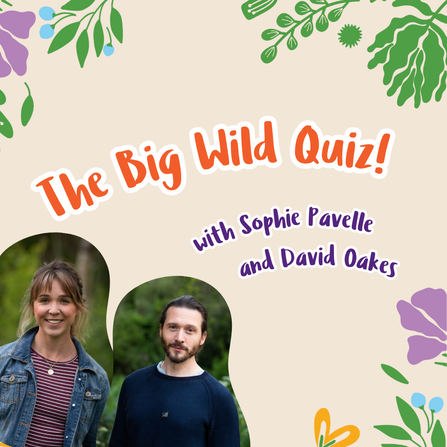 Photos of David Oakes and Sophie Pavelle on an illustrated background underneath a title of 'The Big Wild Quiz!'