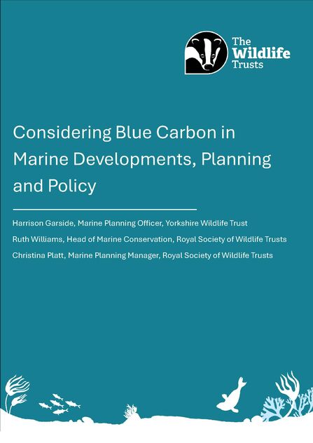 Front page of the Blue Carbon and its implications for Environmental Impact Assessments report
