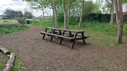 Hidden Gem bench