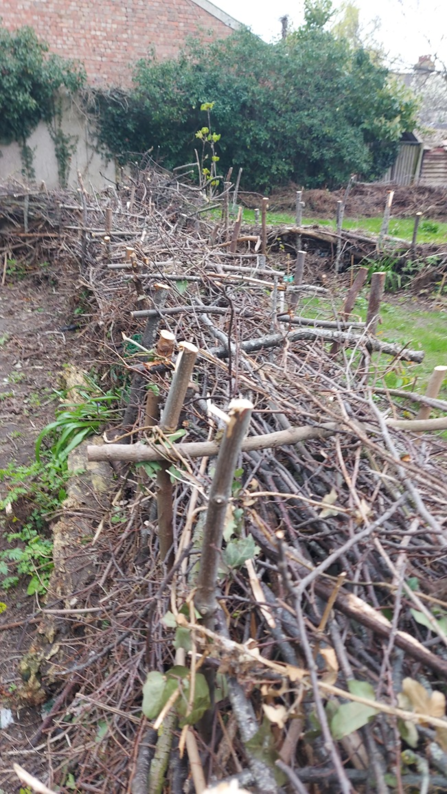 Dead hedge hidden gem aveley