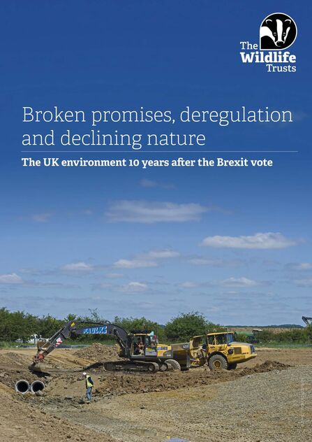 Report front cover for Broken promises, deregulation and declining nature: The UK environment 10 years after the Brexit vote