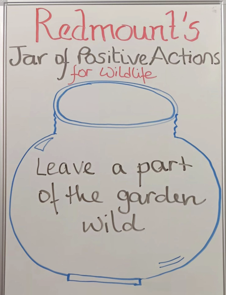 Drawn on a whiteboard is a jar, which says 'leave a part of your garden wild' in it. Above it is written 'Redmount's Jar of Positive Actions for Wildlife'