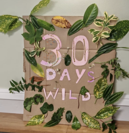 A collage on a large piece of cardboard. 30 Days Wild is cut out of pink paper and stuck in the middle, surrounded by lots of different types of leaves