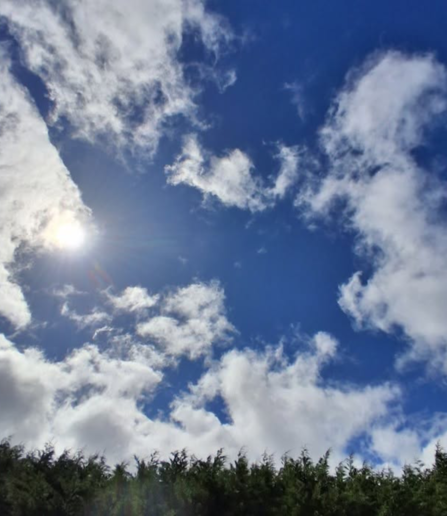 A view of a sunny sky with clouds of different shapes visible