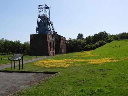 Green fields yellow flowers and an old pithead building in the near background on a sunny day