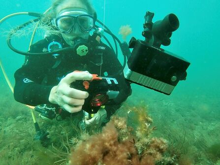 A diver collecting research underwater. She is holding a camera