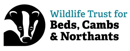 BCN Wildlife Trust logo