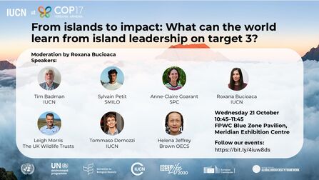 From Islands to Impact COP17 event showing the panel members