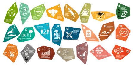 The 23 targets for the Global Biodiversity Framework