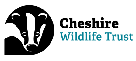 Cheshire Wildlife Trust logo