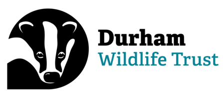 Durham Wildlife Trust logo