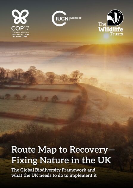 Front cover of the report entitled Route Map to Recovery - Fixing Nature in the UK