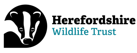Herefordshire Wildlife Trust logo