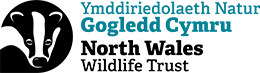 North Wales Wildlife Trust logo