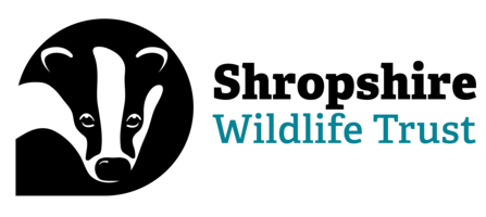 Shropshire Wildlife Trust logo