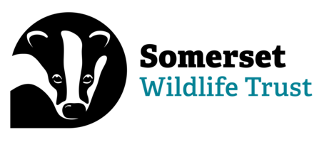 Somerset Wildlife Trust logo