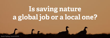 Is saving nature a global job or a local one?