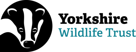Yorkshire Wildlife Trust logo