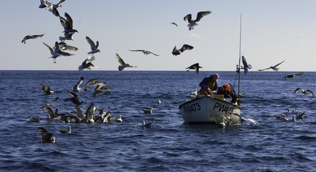 Fisherman in Cornwall