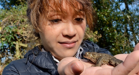 Woman looking at common toad