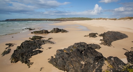 beach