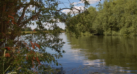 River scene