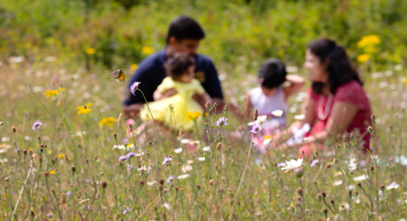 picnic family