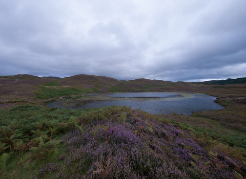 Lake