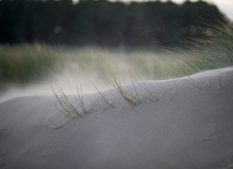 Sand Dune - David Tipling 2020VISION