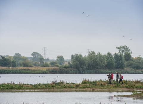 Wetlands Matthew Roberts