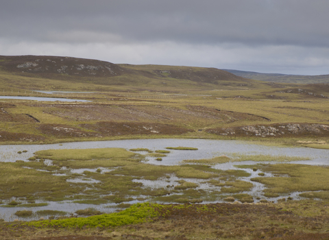 Peatlands Rob Jordan/2020VISION