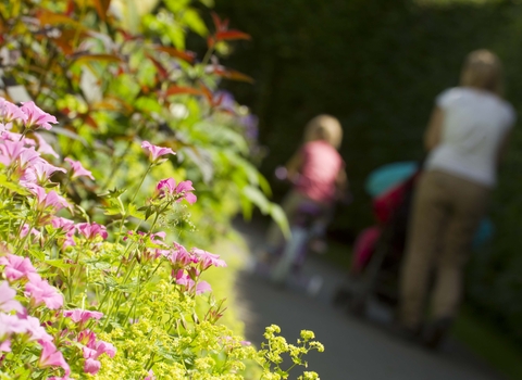 Flowers and pram (c) Ben Hall/2020VISION