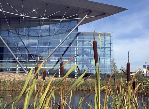 Met Office with lake and bullrushes, Biodiversity Benchmark, the Wildlife Trusts