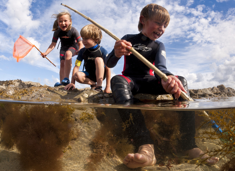 Children dipping in rockpools at low tide, The Wildlife Trusts