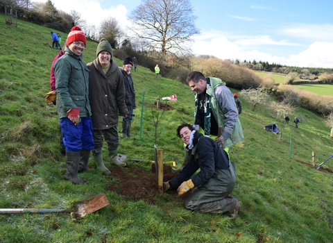 Bats Devon Treem Planting at Camphill