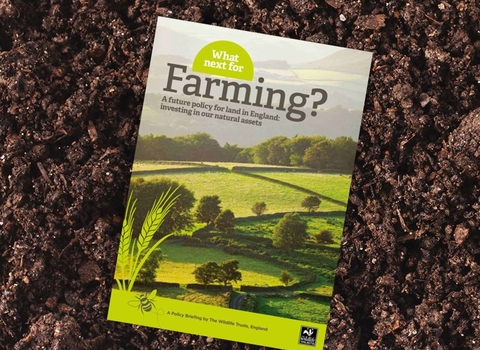 What next for Farming? report
