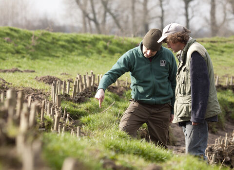 Land management advice | The Wildlife Trusts