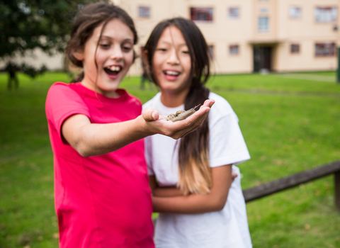 Children exploring urban nature