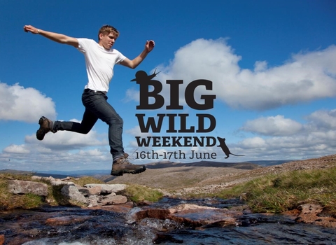 Big Wild Weekend
