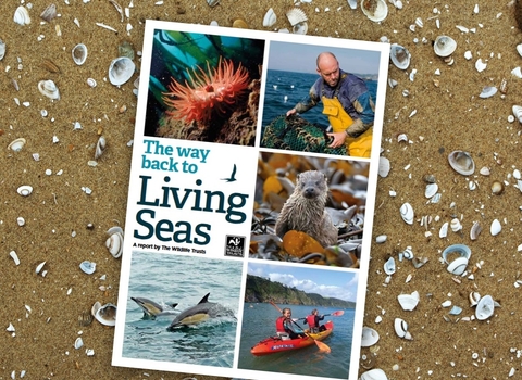 Way back to Living Seas report cover