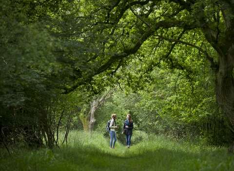 people in wood wildlife trust